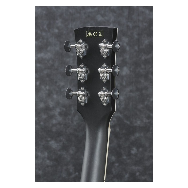 Ibanez PC14MHCE-WK - gitara elektroakustyczna