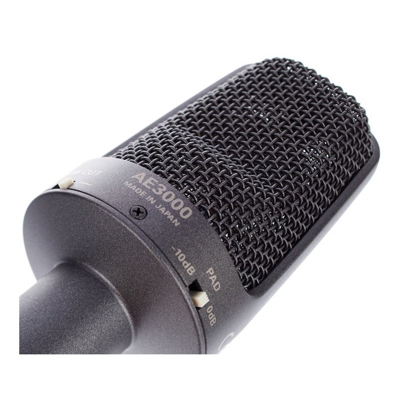 Audio Technica AE-3000 - mikrofon instrumentalny