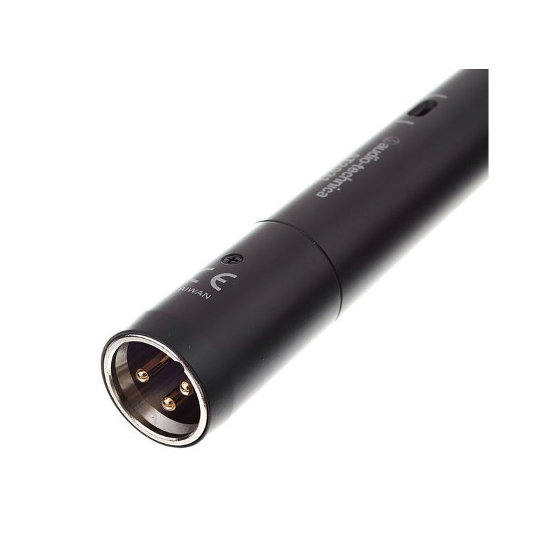 Audio Technica AT2031 - mikrofon pojemnościowy