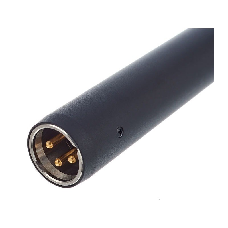 Audio Technica AT4021 - mikrofon pojemnościowy