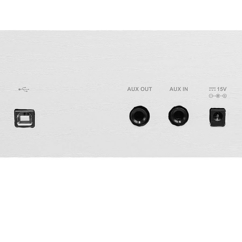 Medeli DP280K/WH - backside outputs