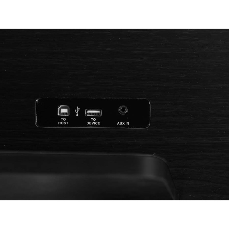 Medeli DP460K/BK - backside outputs