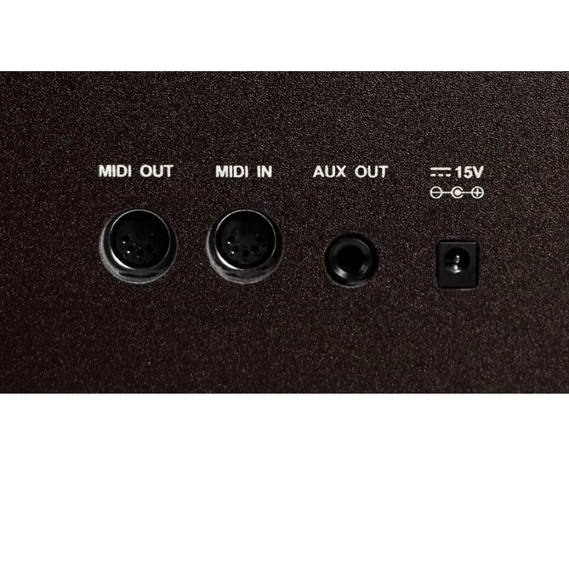 Medeli DP460K/RW - backside outputs