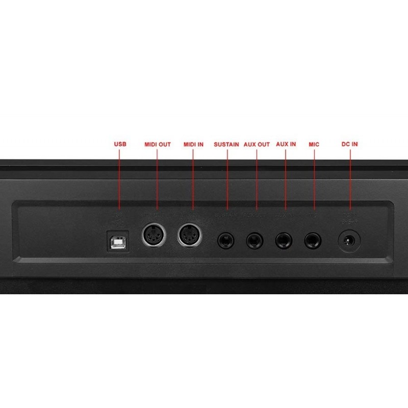 Medeli SP4200/BK - wejścia