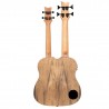 Ortega HYDRA BSTE - Dwugryfowe ukulele