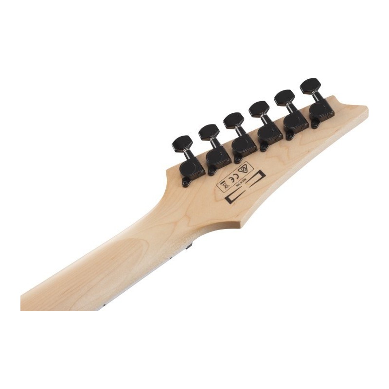 Ibanez GRGR221PA-AQB - gitara elektryczna