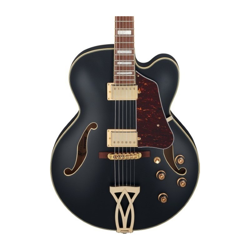 Ibanez AF75G BKF - Gitara elektryczna