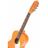 Ortega RGA-ORG - gitara klasyczna 4sls4