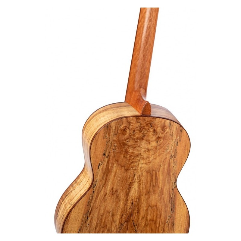 Ortega RSM-REISSUE – gitara klasyczna