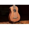 Ortega LIZZY-BSFL-GB - Ukulele Bassowe