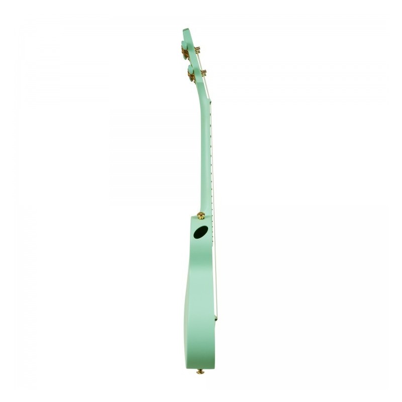 Cascha Carbon Fibre Set Mint - Ukulele koncertowe