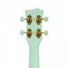 Cascha Carbon Fibre Set Mint - Ukulele koncertowe