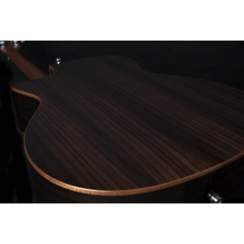 Washburn WCG 20 SCE (N) gitara e-akustyczna