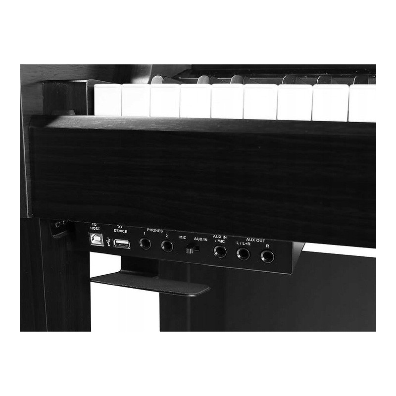 Medeli DP 650 K BK - outputs