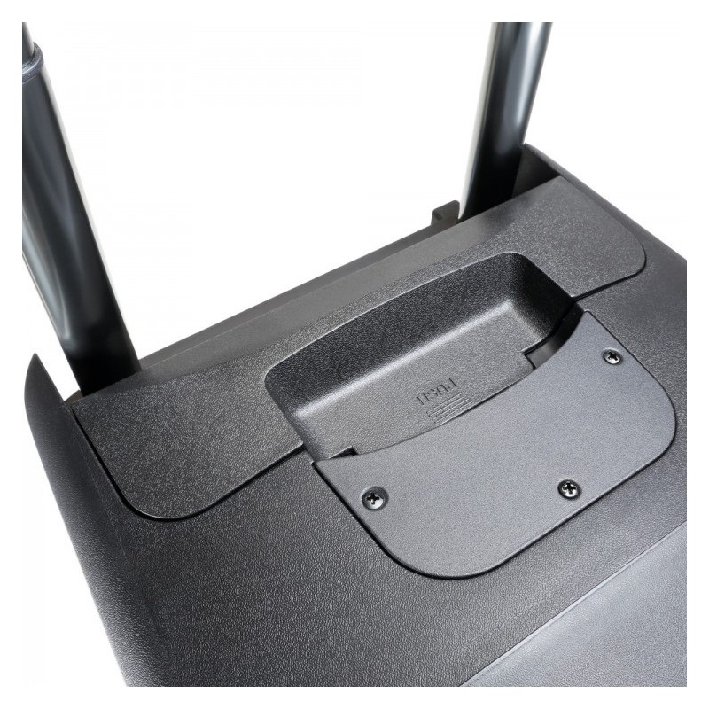 LD Systems ROADBUDDY 10 BASIC - kolumna akumulatorowa