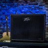 Peavey VYPYR X2 - life style 4
