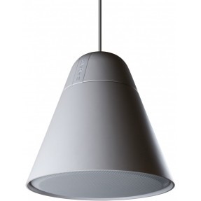 Biamp P30DT-W - głośnik instalacyjny - 1