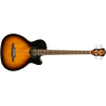 FA-450CE Bass