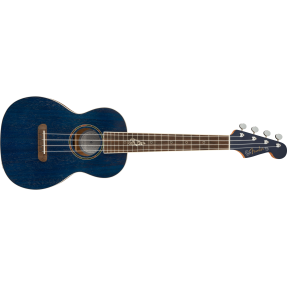 Dhani Harrison Ukulele