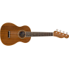 Zuma Concert Ukulele