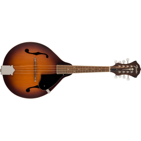 PM-180E Mandolin