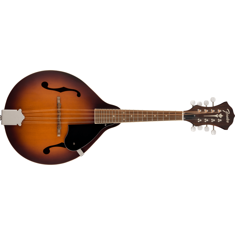 PM-180E Mandolin