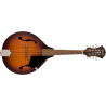 PM-180E Mandolin