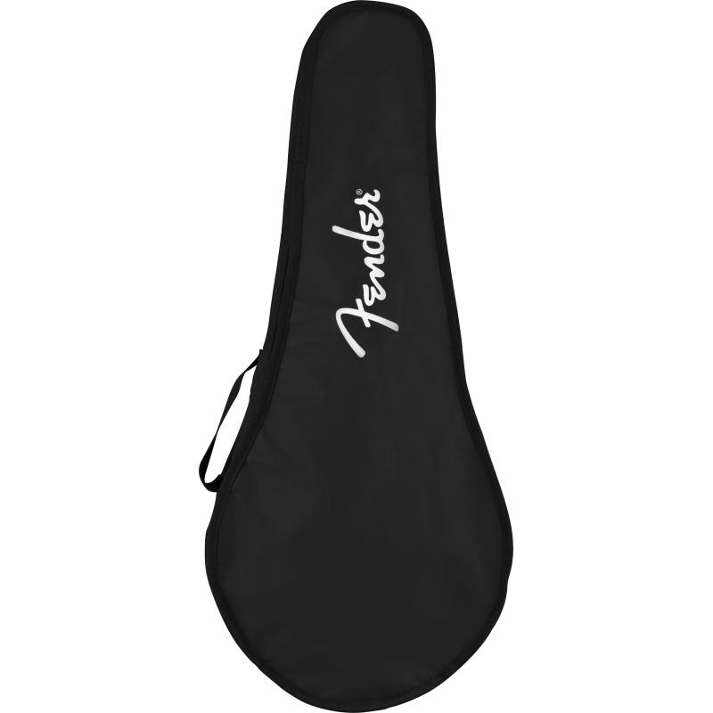 Fender PM-180E Mandolin, Walnut Fingerboard, Aged Cognac Burst - 2