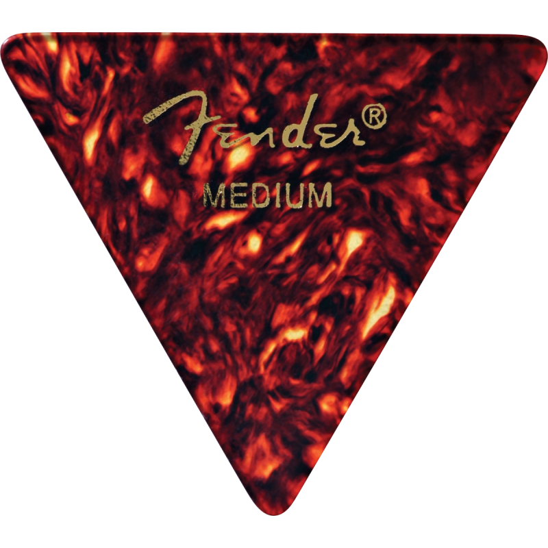 Fender 355 Shape, Shell, Heavy (12) - 1