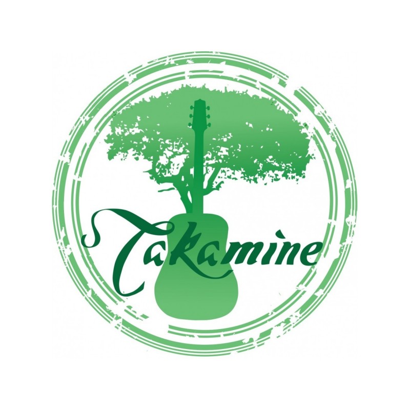 Takamine P3DC-12 - gitara elektroakustyczna - 3