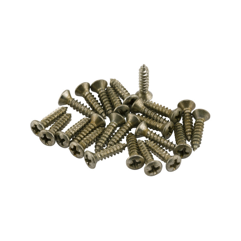 Fender Road Worn Pickguard/Control Plate Screws (24) - 1