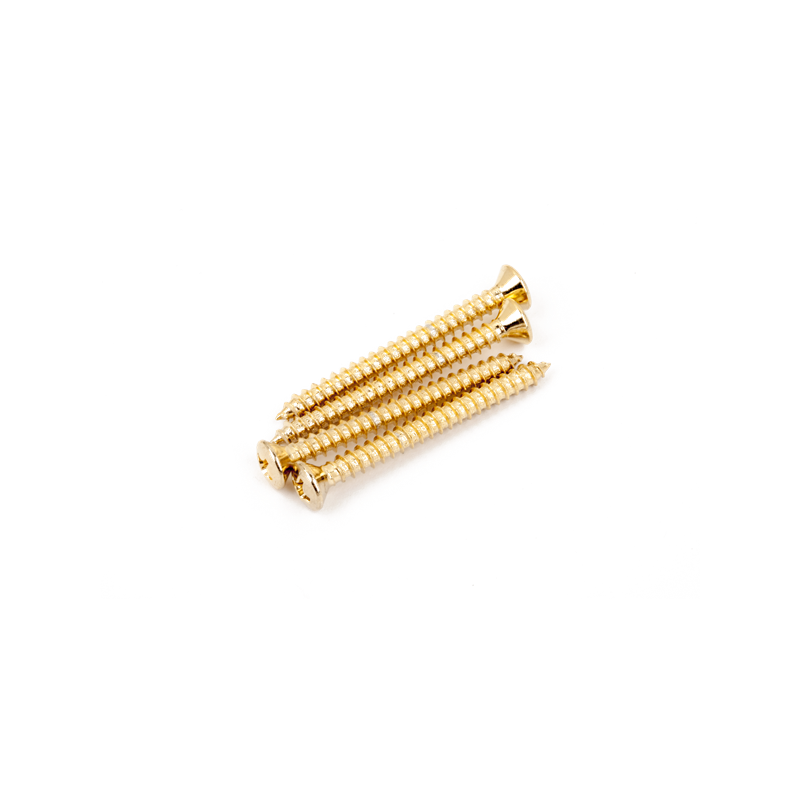 Fender Neck Mounting Screws, Gold, (4) - 1
