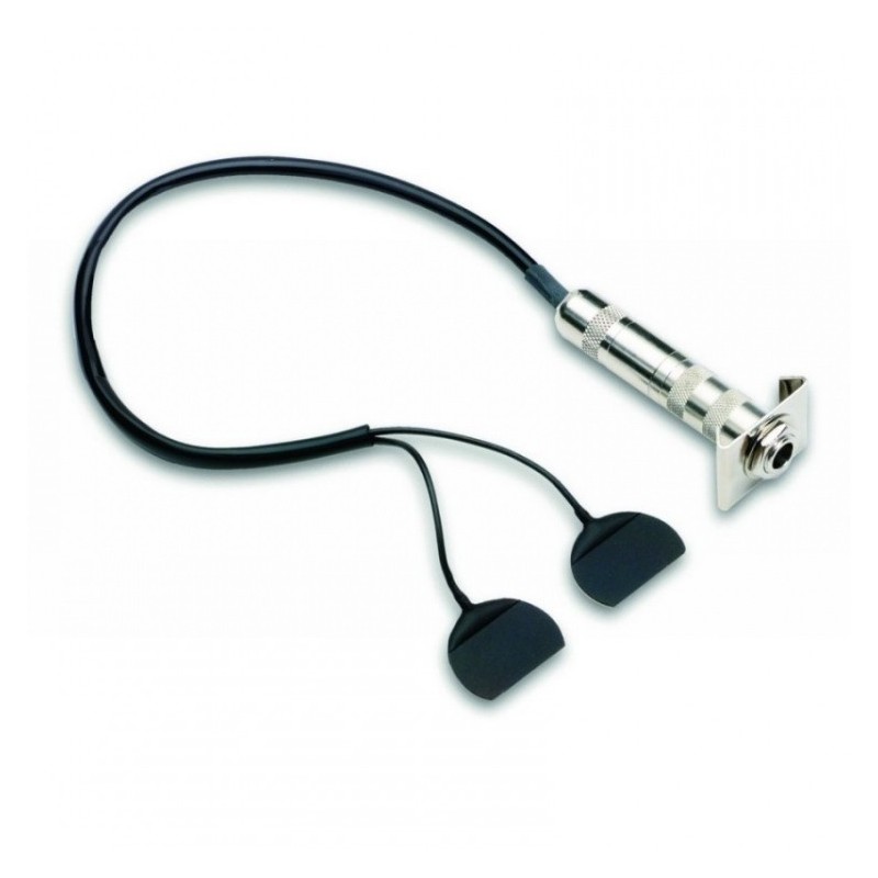 FISHMAN BP-100 - Przystawka kontrabasowa