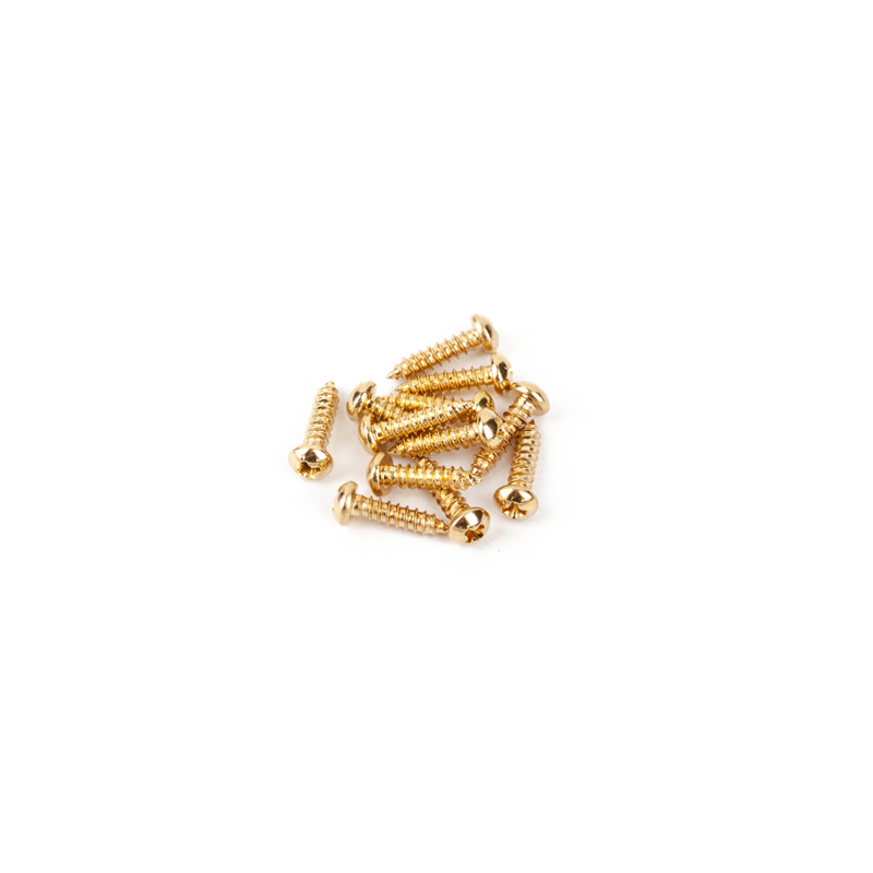 Fender Pure Vintage Tuning Machine Mounting Screws, Gold, (12) - 1