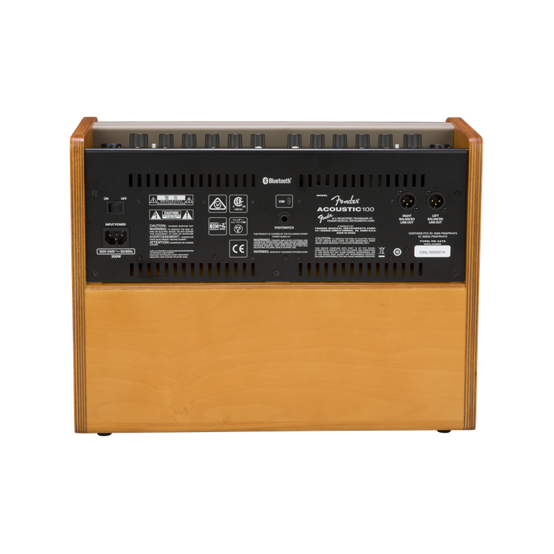 Fender Acoustic 100, 230V EUR - 2