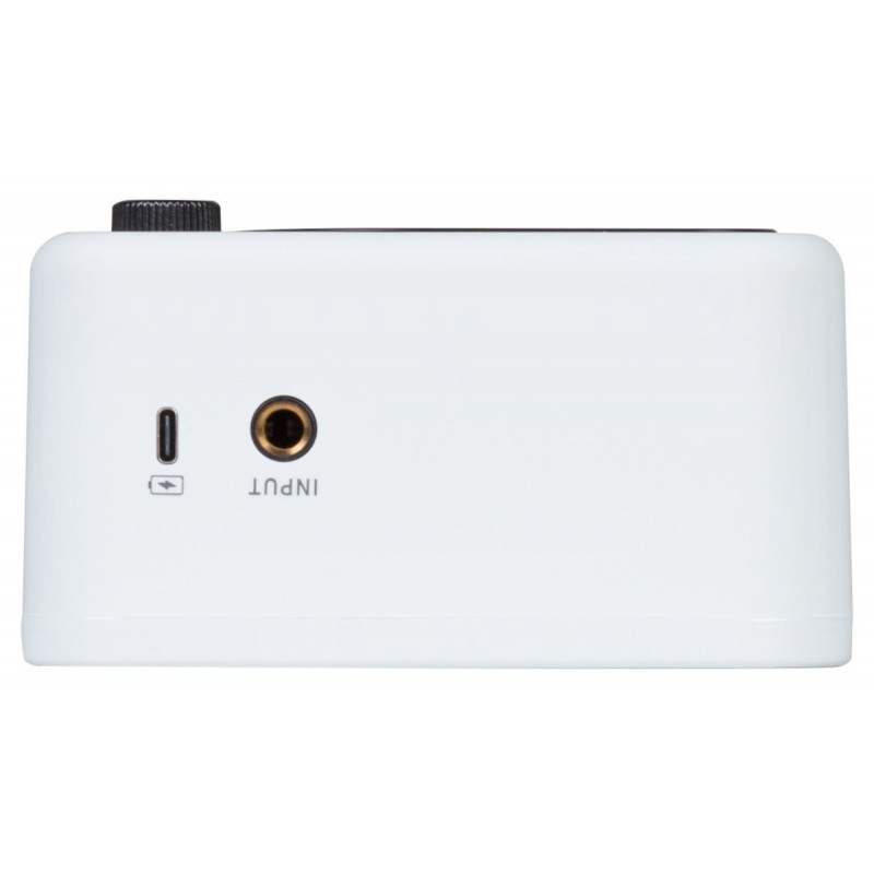 Mooer GTRS Guitars PTNR Mini Bluetooth Amplifier (GCA5), 5 Watt - White - 5