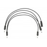 RockBoard Flat Daisy Chain Cable, 4 Outputs, straight - 1