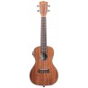 KALA KA-CGE - Gloss Mahogany Concert Ukulele, with EQ & Bag (UB-C) - 1