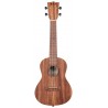 KALA KA-TEAK-C - Teak Concert Ukulele - 1