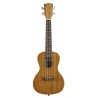 KALA KA-15-C-BNDL - Satin Mahogany Concert Ukulele Starter Kit - 2