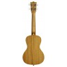 KALA KA-15-C-BNDL - Satin Mahogany Concert Ukulele Starter Kit - 3
