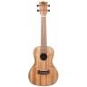 KALA KA-PWC - Pacific Walnut Concert Ukulele, with Bag (UB-C) - 1