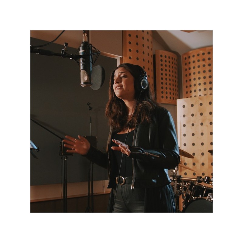 SE Electronics NEOM USB – Mikrofon pojemnościowy - 4