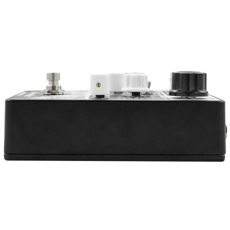 EarthQuaker Devices Data Corrupter - Modulated Monophonic Harmonzing PLL - 7