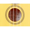 Arrow PB10 YW Yellow - ukulele sopranowe z pokrowcem - 3