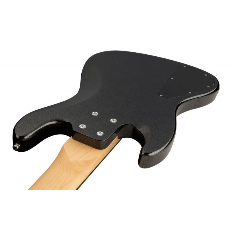 Sadowsky MetroExpress 21-Fret Vintage J/J Bass, Tigerstripe Ebony Fingerboard, Fretless, 5-String - Solid Black High Polish - 6