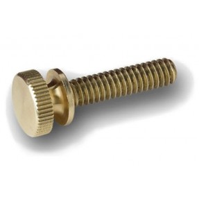 Traveler Guitar - Spare Part - Thumbscrew / Strap Button - 1
