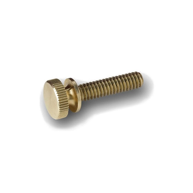 Traveler Guitar - Spare Part - Thumbscrew / Strap Button - 1