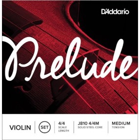 D`ADDARIO J810 4sls4 - struny do skrzypiec