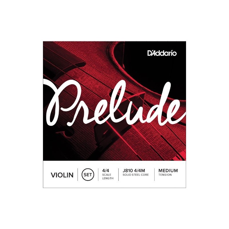 D`ADDARIO J810 4sls4 - struny do skrzypiec